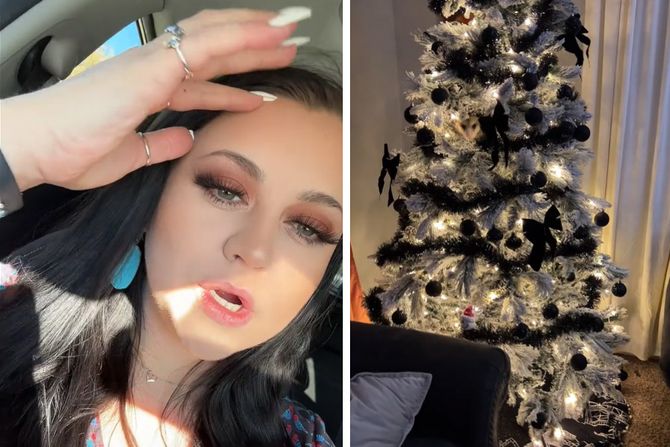 zivotinja u jelci zivotinja u jelci