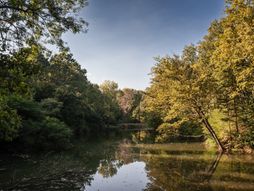 Jezero Trešnja, Avala