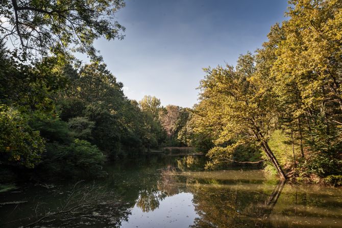 Jezero Trešnja, Avala