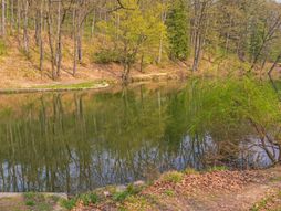 Jezero Trešnja, Avala