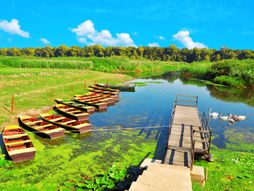 Obedska bara, Srbija