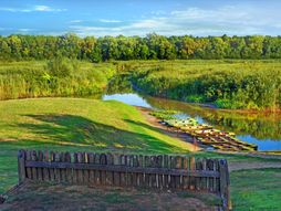 Obedska bara, Srbija
