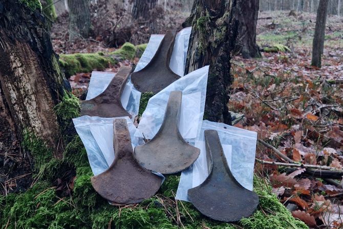 Sekire, bronzano doba, Poljska Sekire, bronzano doba, Poljska