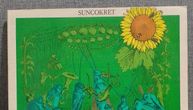 Priče o pesmama: Suncokret - "Prvi sneg", istinski biser jugoslovenske akustičarske scene