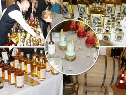 Šumadijski festival rakije, Kragujevac