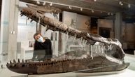 Glava ogromnog morskog čudovišta sa 130 zuba otkrivena na obali Engleske