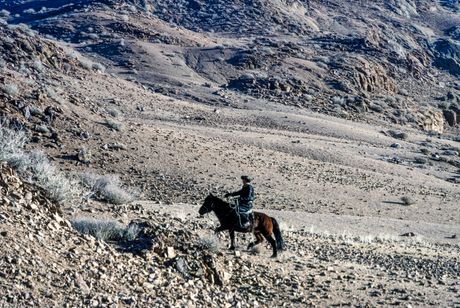 Mongolija, konjanik