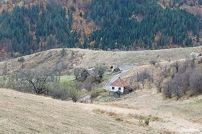 Zlatibor, Dobroselica