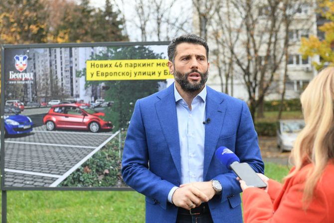 Aleksandar Šapić, parking mesta