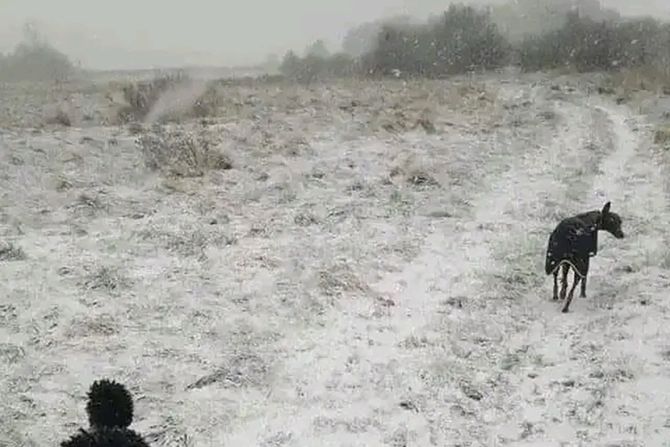 Optička iluzija Optička iluzija