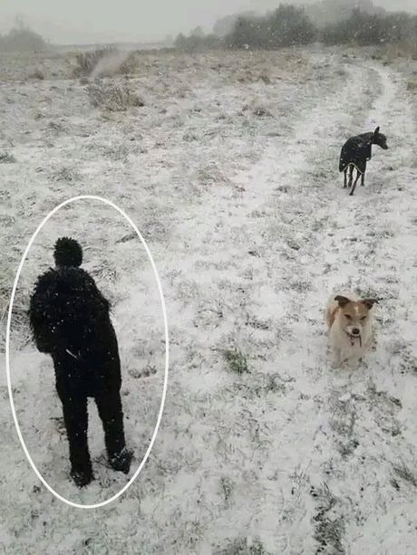Optička iluzija Optička iluzija