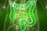 Najbolja hrana za zdravlje creva: Nutricionisti otkrili šta bi trebalo da jedete svakog dana