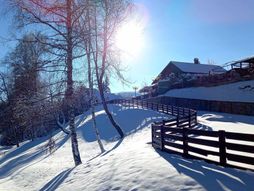 Zimska idila, Vlasina,sneg, planina