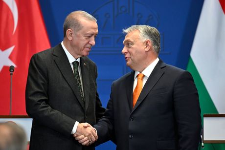 Redžep Tajip Erdogan, Viktor Orban