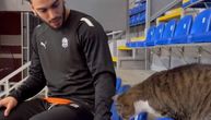 Na trening Baskonije došao poseban "gost": Mačka Ljubica prekinula Špance, Hauard otišao da se igra sa njom