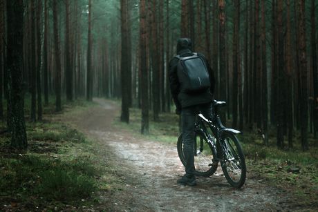 Biciklistička staza, šuma