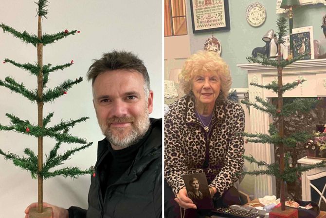 jelka na aukciji jelka na aukciji