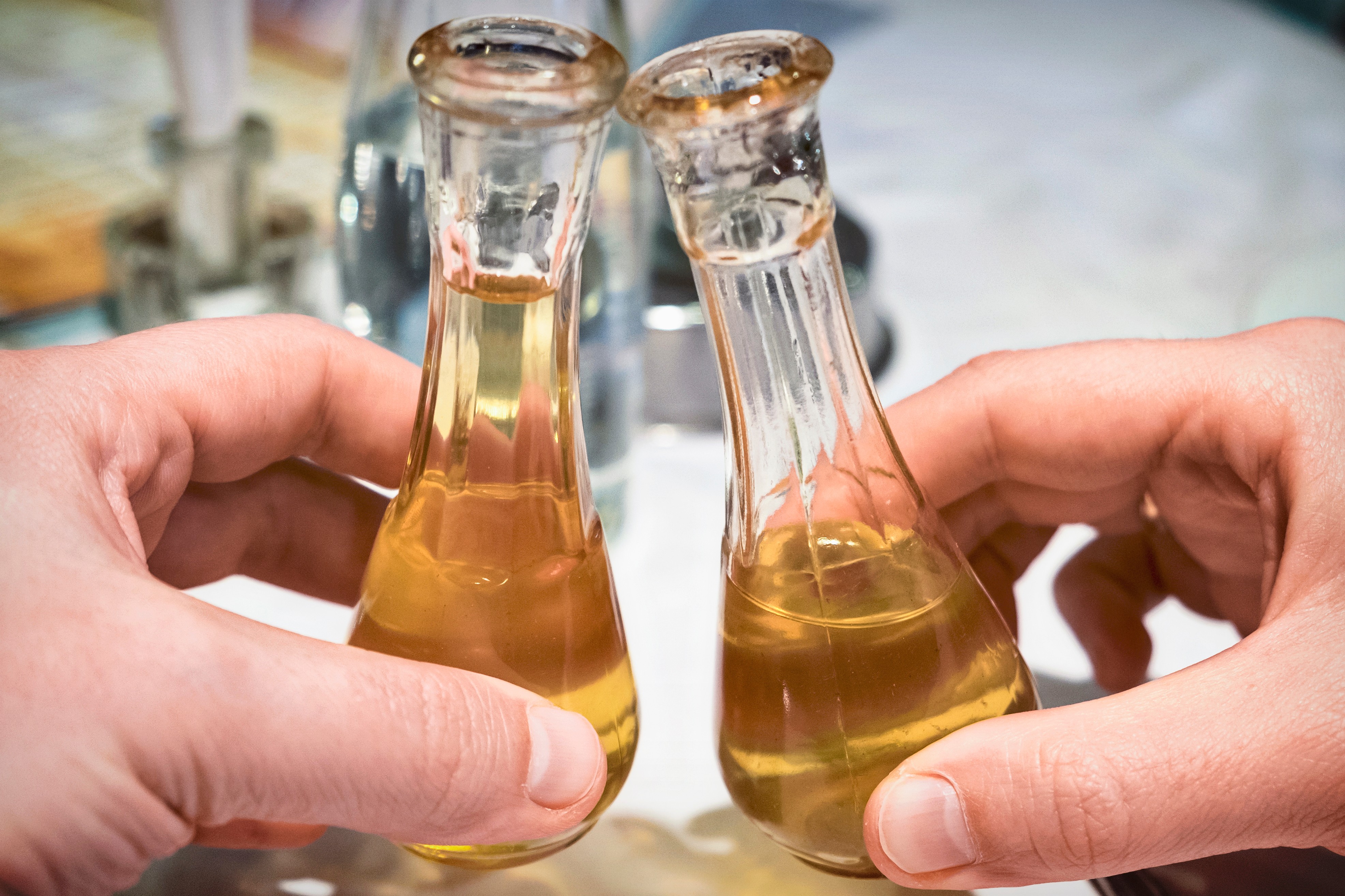 1.001 uzorak stigao na prvi Haјdučki festival rakiјe: Komisija dobila dovoljno dana da pošteno oceni svaki