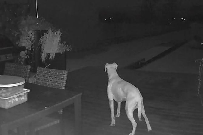 Krađa kolača Krađa kolača