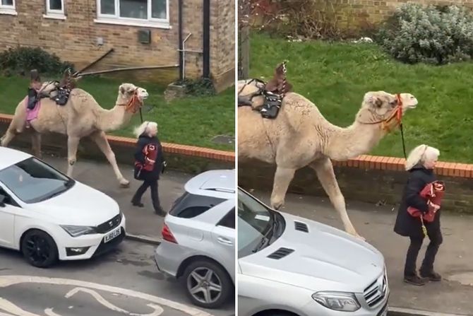 Kamila u londonu Kamila u londonu