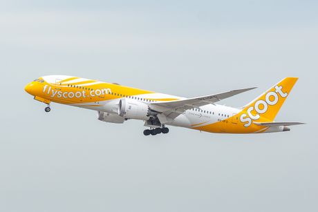 scoot airlines