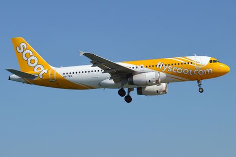 scoot airlines