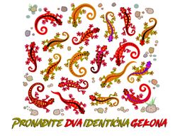 Pronađite dva identična gekona