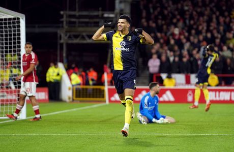 Dominik Solanke Dominik Solanke