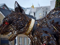 Jolakotturinn, Božićna mačka