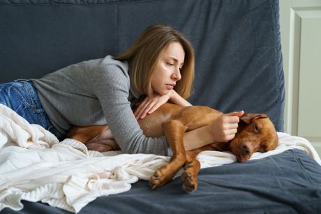 Kako mirišu bolesti kod pasa