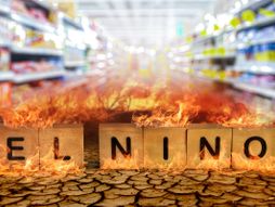 El Nino El Ninjo prodavnica