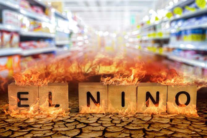 El Nino El Ninjo prodavnica El Nino El Ninjo prodavnica