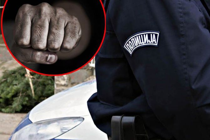 Policija, pesnica, tuča