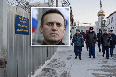 Alexei Navalny , Kharp zatvor IK-3  Harp Rusija