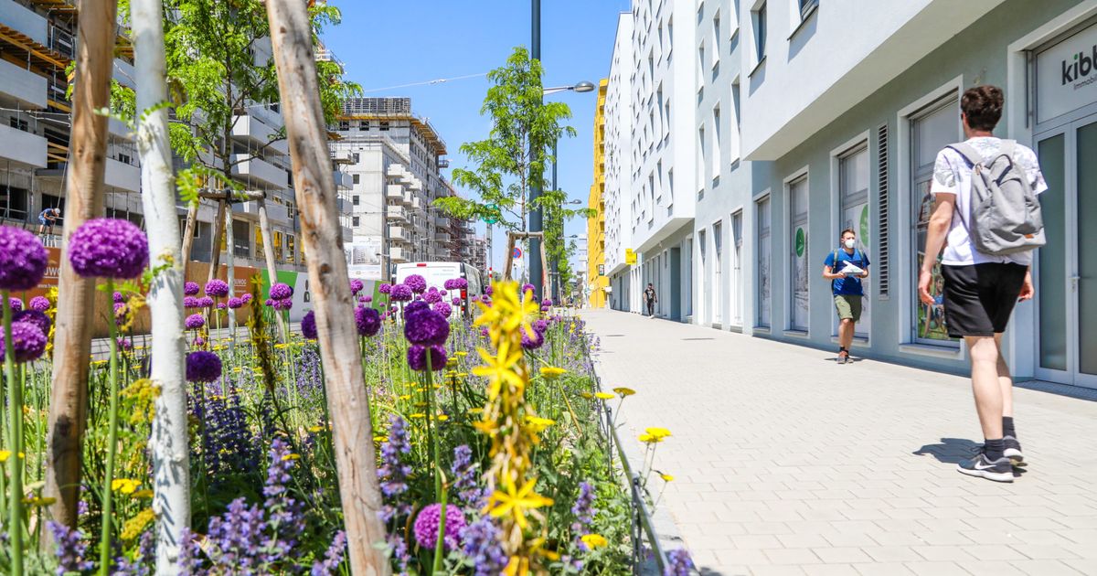 Uloženo 21 milion evra u infrastrukturu za pešake u Beču - Telegraf Biznis