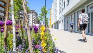 Beč postaje sve zeleniji grad: Uloženo više od 20 miliona evra u infrastrukturu za pešake