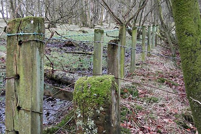 Anglo-škotska granica, Škotski nasip