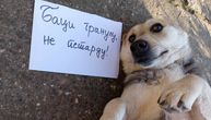 Potresan snimak psa dok pucaju petarde: Vlasnici u Srbiji poručuju kako će da uzvrate, ovo niko ne želi