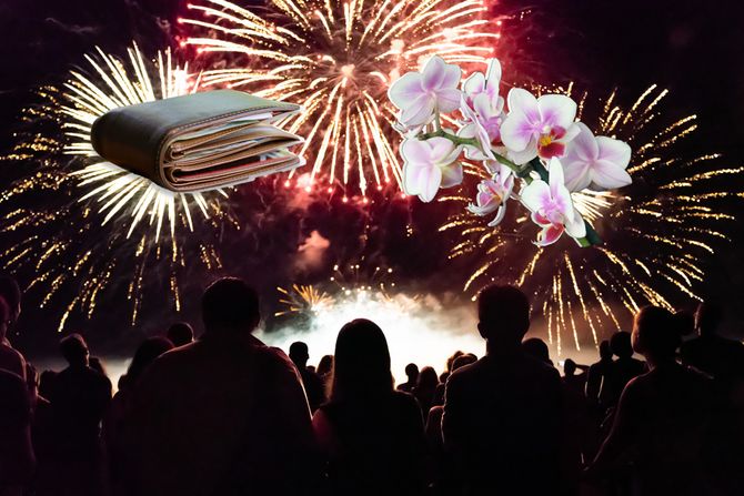 Vatromet novčanik pare orhideja Vatromet novčanik pare orhideja