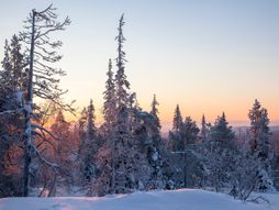 Laponija, Finska, Deda Mraz