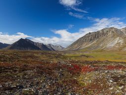 Poluostrvo Čukotka, Sibir, Rusija