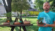 Profesor biologije iz Vranja 35 godina uzgaja bonsai: U njega pretvara zakržljale izdanke bukve, bresta...