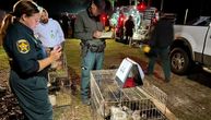 Sedamdesetpetogodišnja žena sa Floride uhapšena nakon što je u njenoj kući pronađeno 309 životinja