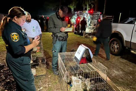 Florida Polk County Sheriffs Office