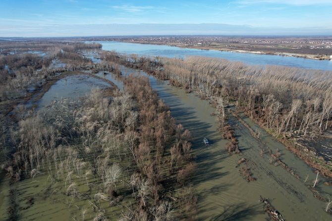 Novi Sad Dunav visok vodostaj Dunava kod Novog Sada