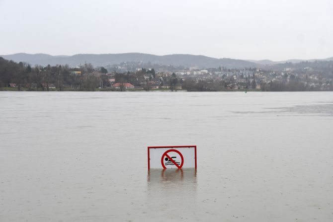 Novi Sad Dunav visok vodostaj Dunava kod Novog Sada