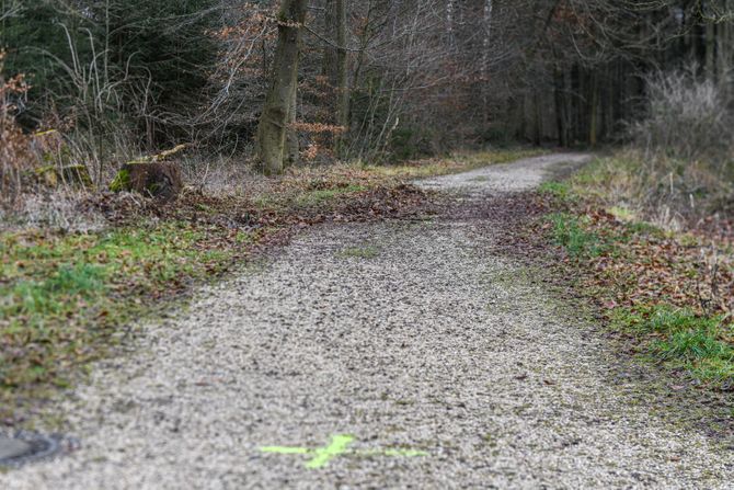 Srpski dečak ubio devojčicu (15) u Nemačkoj, Nemačka