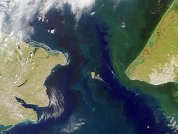 Diomedova ostrva, tačnije Veliki i Mali Diomed