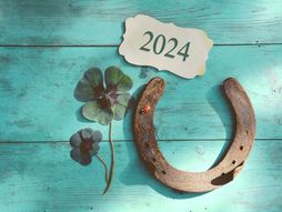 amajlija, potkovica, detelina s četiri lista, bubamara, sreća