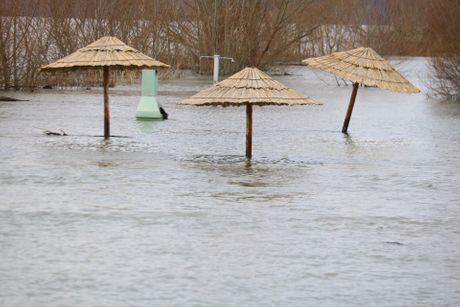 Poplava u Palanci, Tikvara